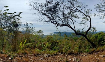 Costa Rica Lots